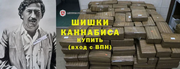 дживик Верхний Тагил
