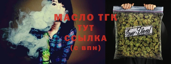 дживик Верхний Тагил