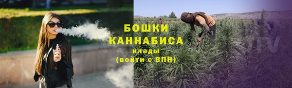 дживик Верхний Тагил