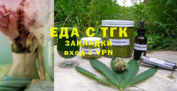 дживик Верхний Тагил
