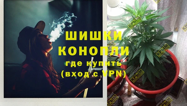 дживик Верхний Тагил