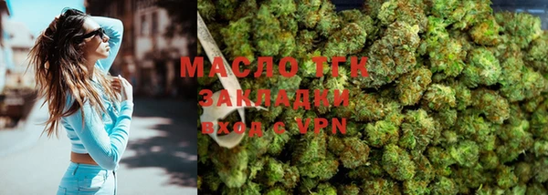 дживик Верхний Тагил