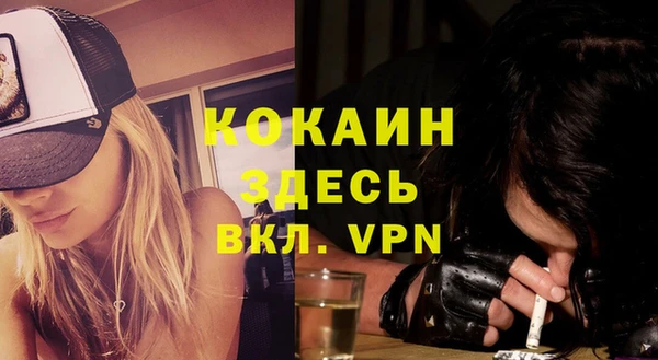 дживик Верхний Тагил