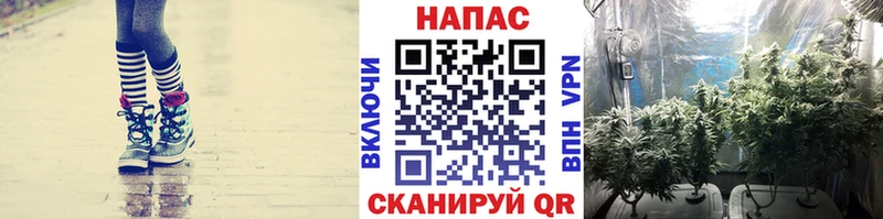 Бошки марихуана White Widow  Нарткала 